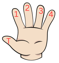 hand diagram